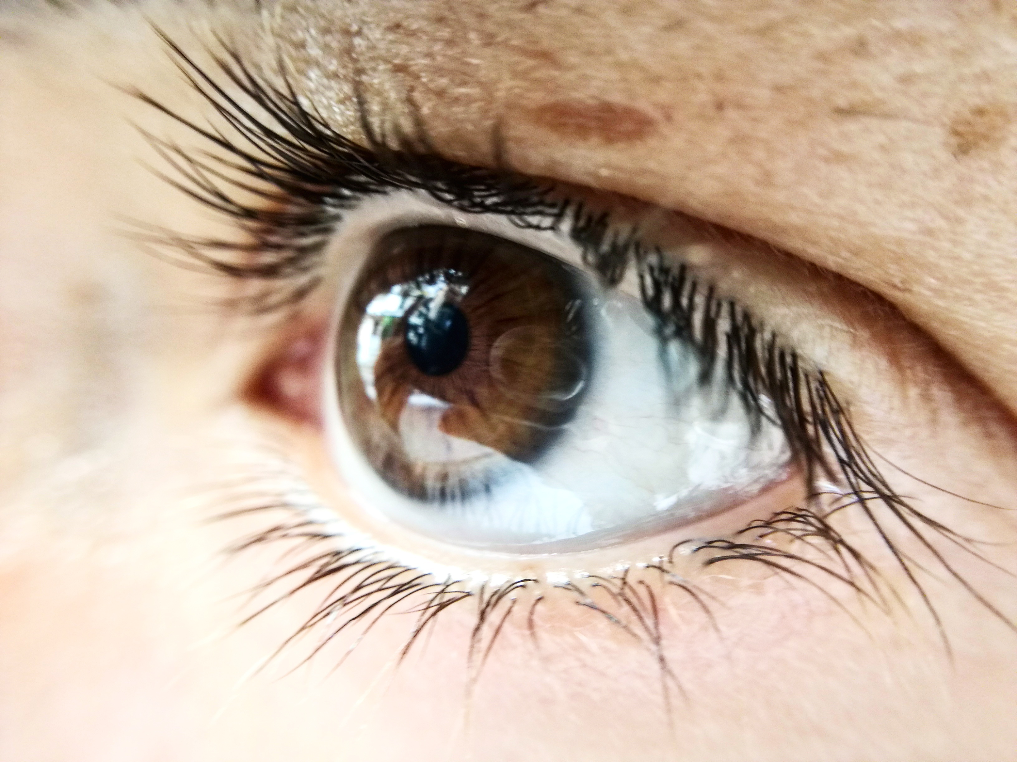 Gros plan noir et blanc d'un œil